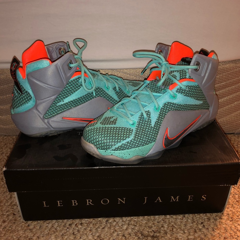 Nike Lebron James basketball sneakers